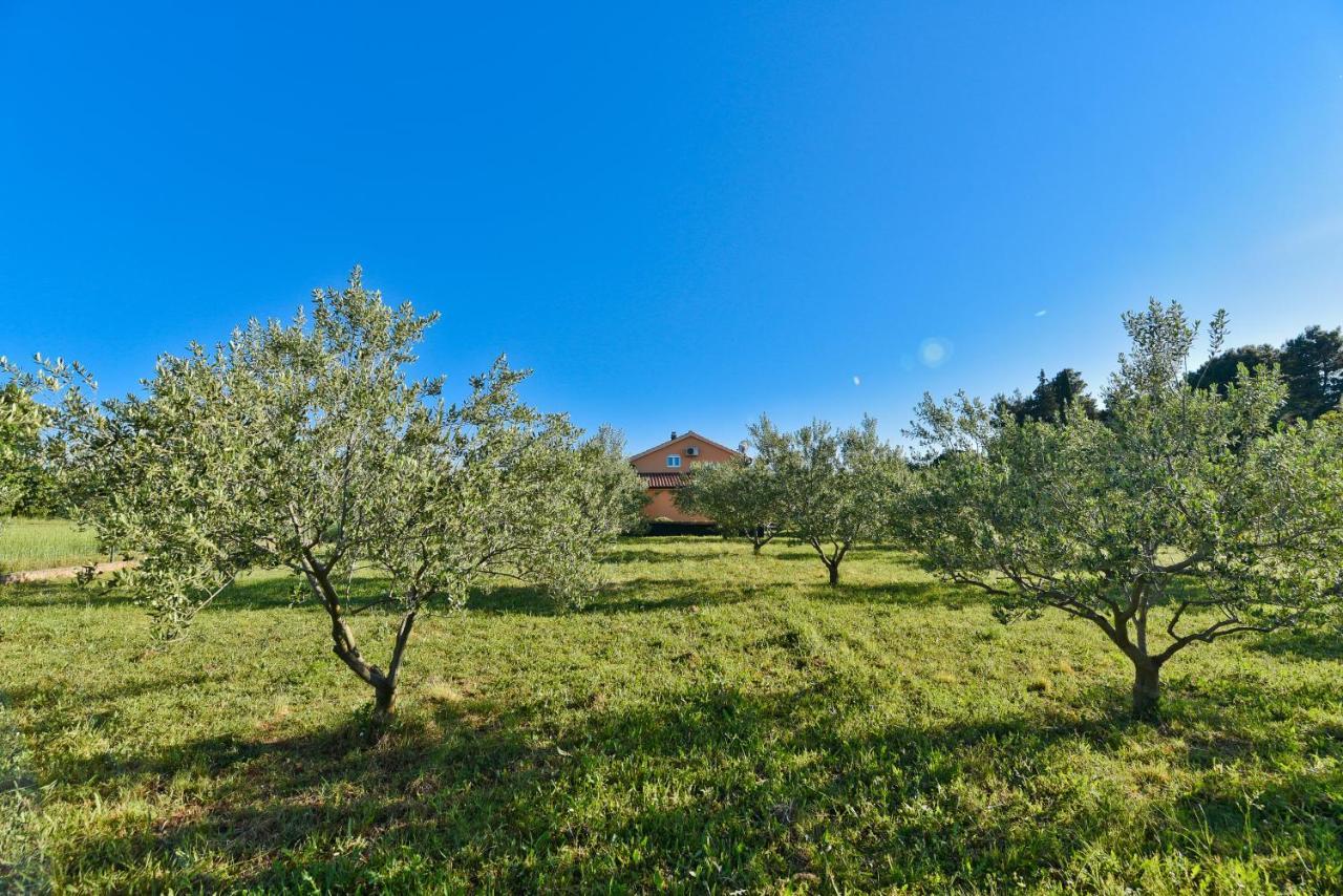 Holiday Home Taras Smilcic Exterior foto