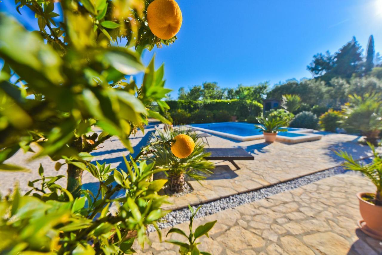 Holiday Home Taras Smilcic Exterior foto